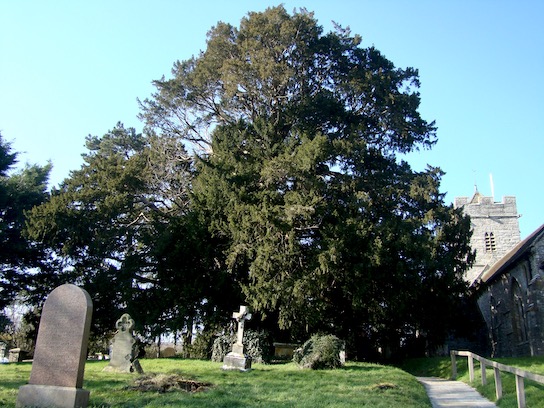 dundon